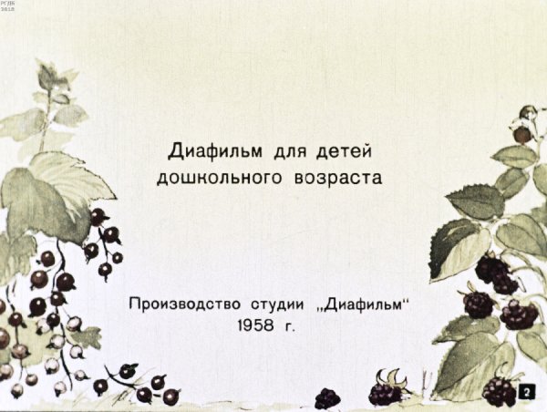 4.
