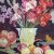 1953 Glaieuls et pommes