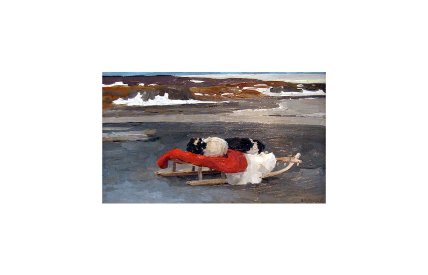 Chiens sur un traîneau - Novaia Zemlia