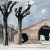 1962 Vieux marché à Nîmes