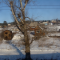 Irkoutsk-Krasnoïarsk
