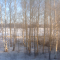 Irkoutsk-Krasnoïarsk