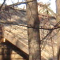 Chez Sourikov