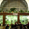Gare de Novosibirsk