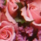 Fleurs !