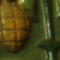 Mosaïque à l'ananas