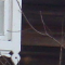 Chez Sourikov
