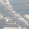 Krasnoïarsk