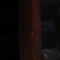 Chez Sourikov