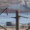 La gare portuaire