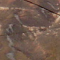 Aux franges de la ville